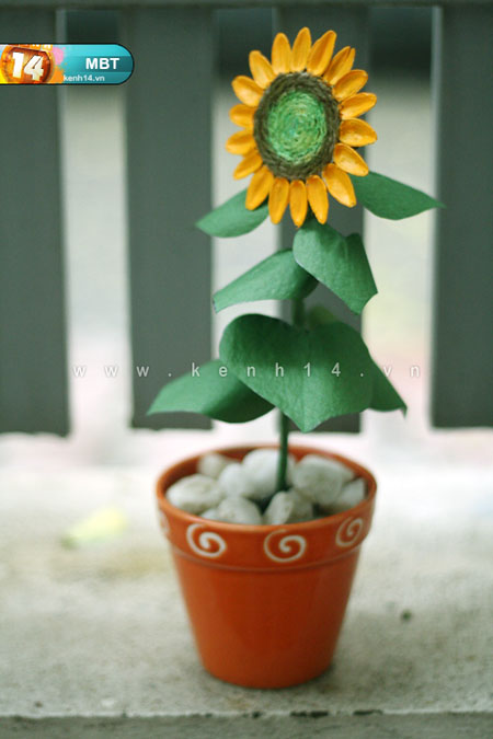 Hướng dương xinh xắn tặng nhỏ bạn ngày 8/3