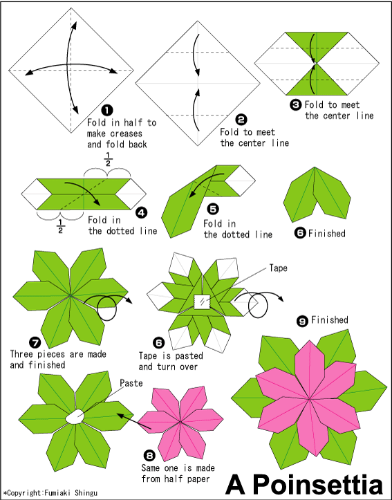 Origami - hướng dẫn xếp giấy Hoa trạng nguyên