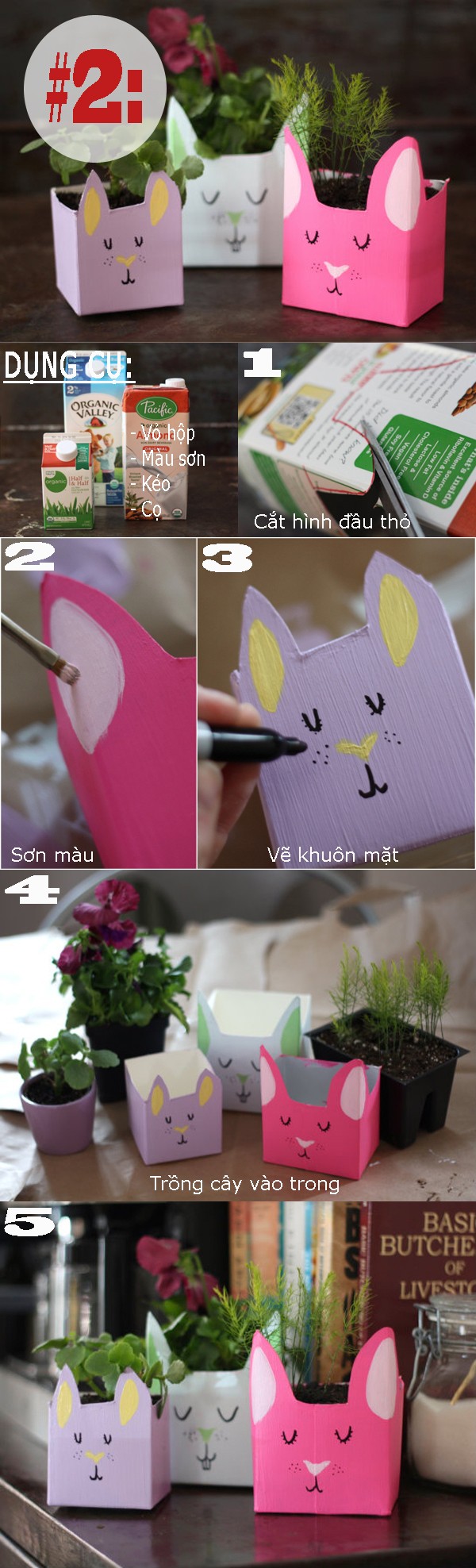3 ý tưởng tái chế đồ dùng thành chậu trồng cây hay ho