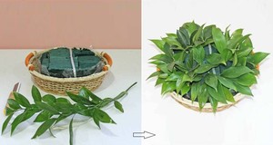 Hướng dẫn cách cắm hoa hình chú nhím xinh yêu