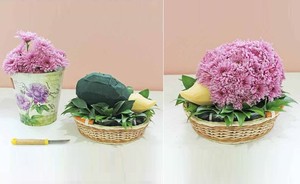 Hướng dẫn cách cắm hoa hình chú nhím xinh yêu